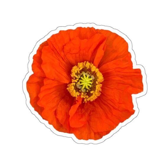 Orange Poppy Flower Sticker