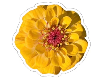 かわいい黄色のジニアの花のステッカー