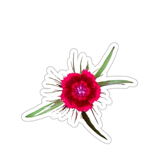 Magenta Dianthus Flower Sticker: Jrouxart Original Art