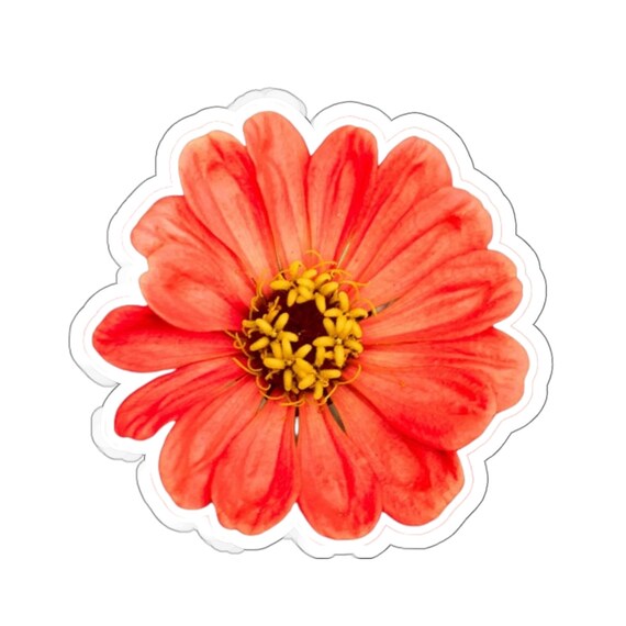 Orange Flower Sticker - Add Instant Pop of Color!