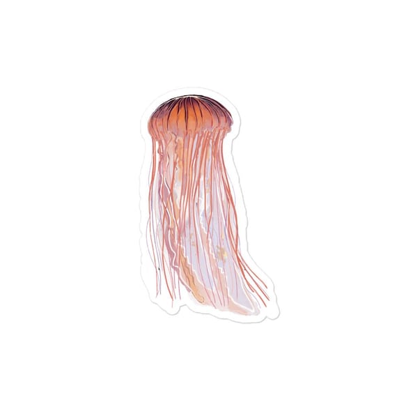 Jellyfish Sticker / Pink Jellyfish Decal