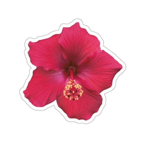 Hibiscus Flower Sticker / Pink Tropical Flower Sticker