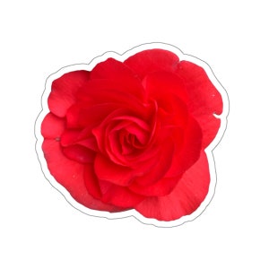 Red Rose Flower Sticker