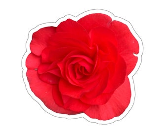 Pegatina de flor de rosa roja