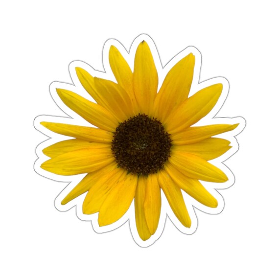 Sunflower Sticker: Bright Yellow Floral Photography, Laptop Decal