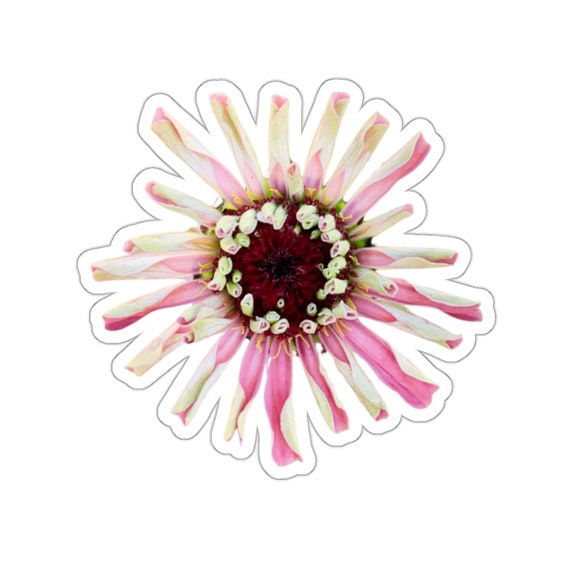 Pretty pink flower sticker - feminine and edgy