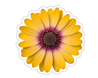 黄色と紫のウィンドフラワーの花のステッカー