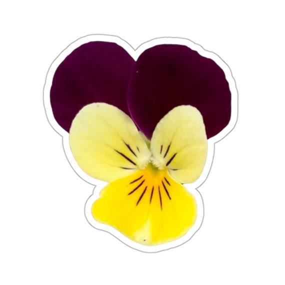 Johnny Jump Up Pansy Sticker: Add a Pop of Color to Your Day