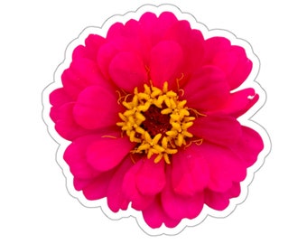 Vivid Pink Zinnia Sticker / A Pretty Pink Flower Sticker