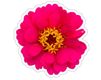 Vivid Pink Zinnia Flower Sticker: Water Resistant Vinyl