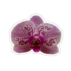 Un superbe sticker fleur d'orchidée violette et blanche