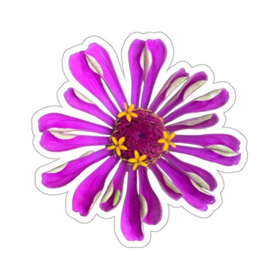 Flower Stickers - Pretty Purple Zinnia Flower- Decorate with Style