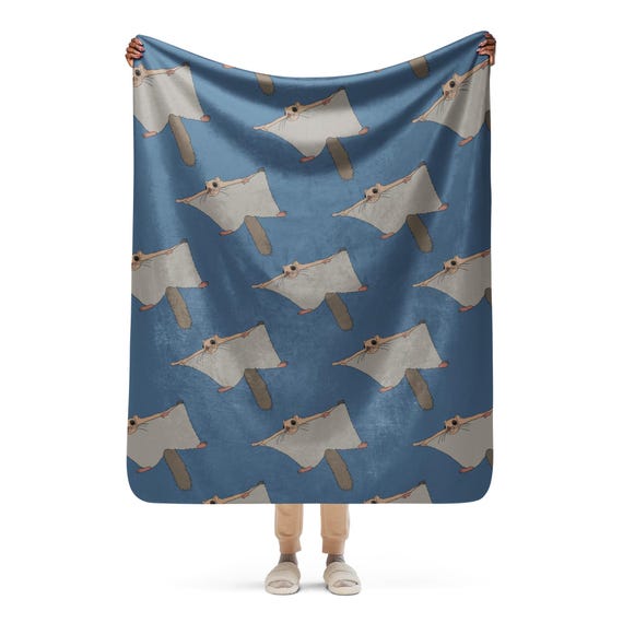 Flying Squirrel Blanket / Blue and Beige Soft Sherpa blanket