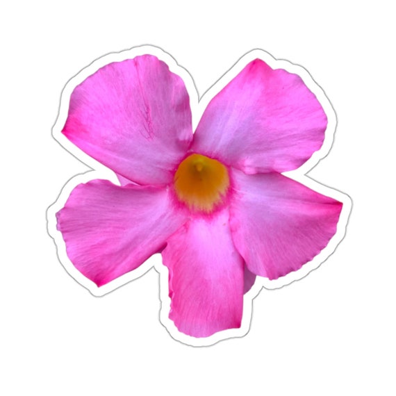 Tropical Pink Flower Sticker