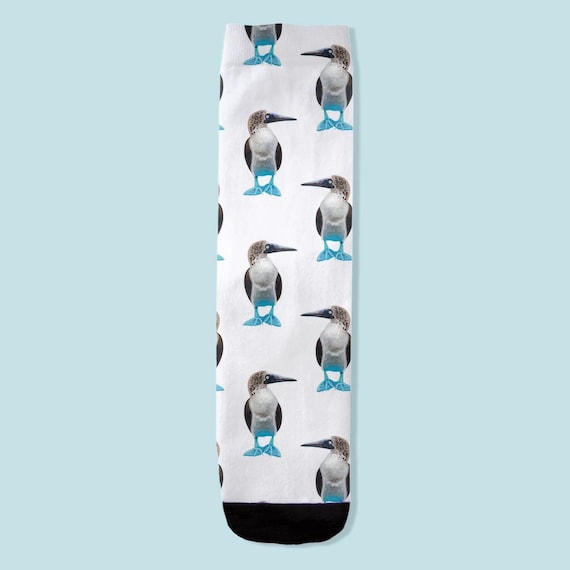 Blue Footed Booby Socks / Australian Bird Socks By Jrouxart