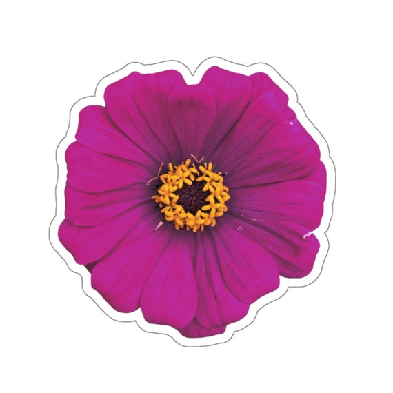 Purple Zinnia Flower Sticker: Waterproof Vinyl Decal