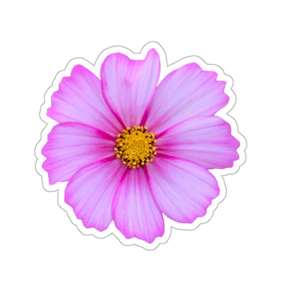 Pretty Pink Cosmo Flower Sticker - Floral Kiss-Cut Stickers