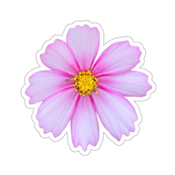 Ombré Pink Cosmo Flower Sticker - Floral Kiss-Cut Stickers
