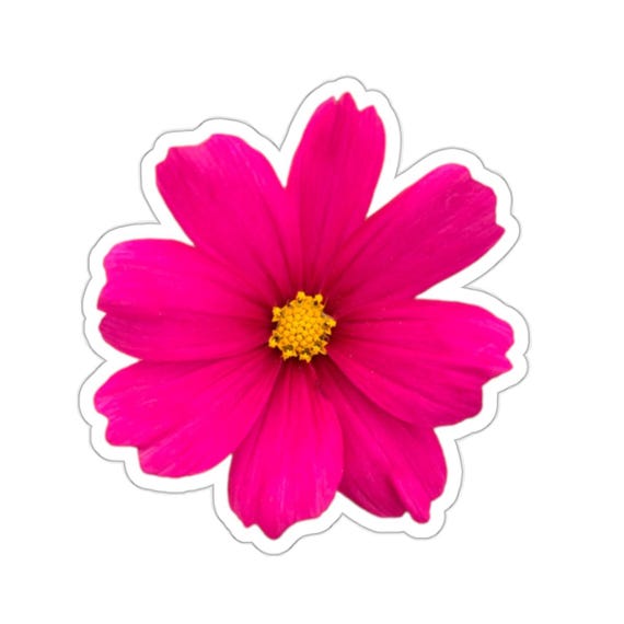 Hot Pink Cosmo Flower Sticker - Floral Kiss-Cut Stickers