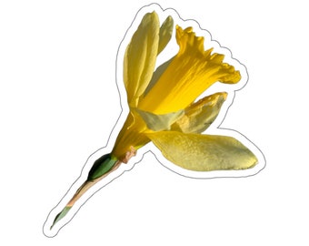 Gelber Narzissen-Blumen-Aufkleber