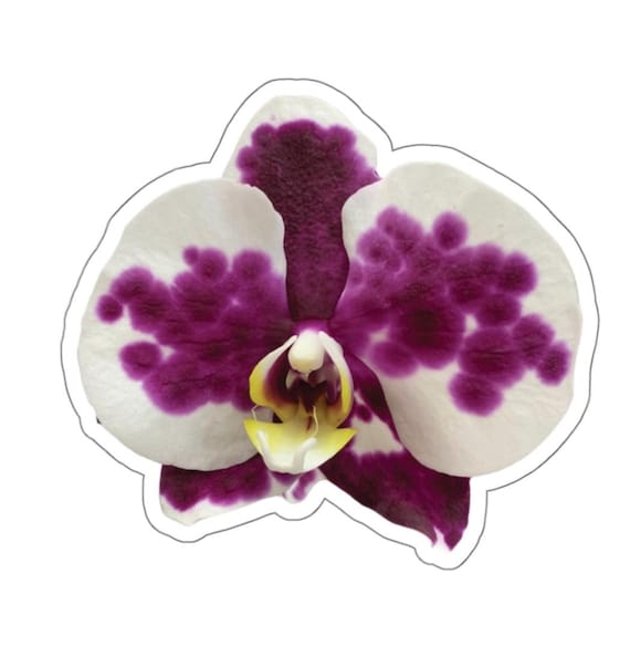 Purple Orchid Flower Sticker // Floral Kiss-Cut Stickers