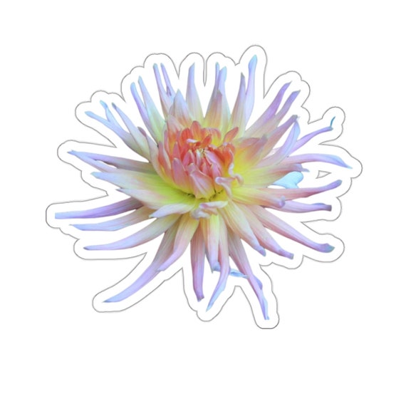Pink Dahlia Sticker: Floral Laptop Decal