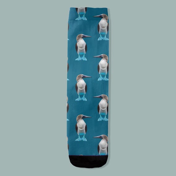 Blue Footed Booby Socks / Australian Bird Crew Socks By Jrouxart