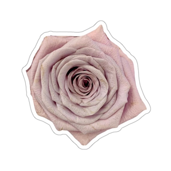 Lavender Rose Sticker: Waterproof Vinyl Decal