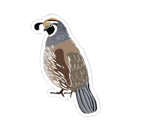 California Quail Bird Sticker: Nature Lover Gift