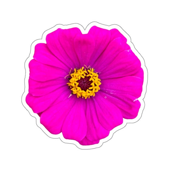 Bright Pink Zinnia Flower Sticker: Waterproof Vinyl Decal