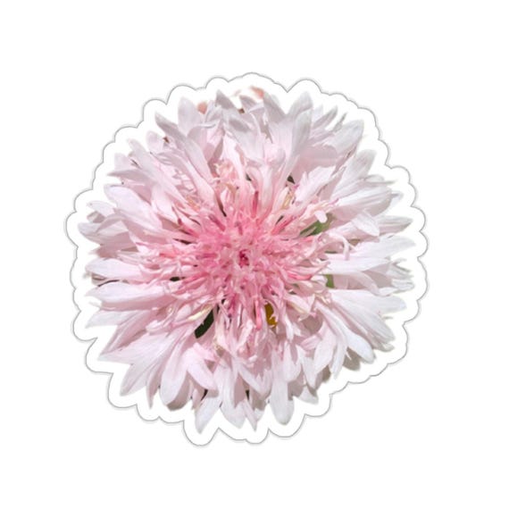 Pink Flower Sticker