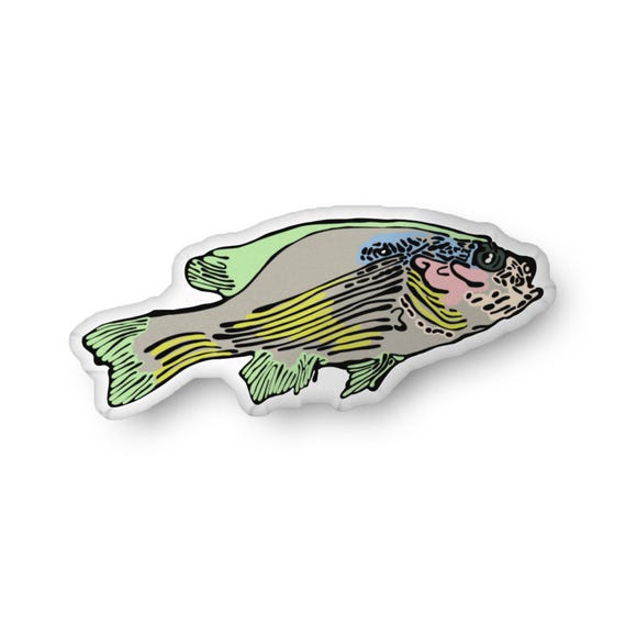 Fish Shaped Pillow