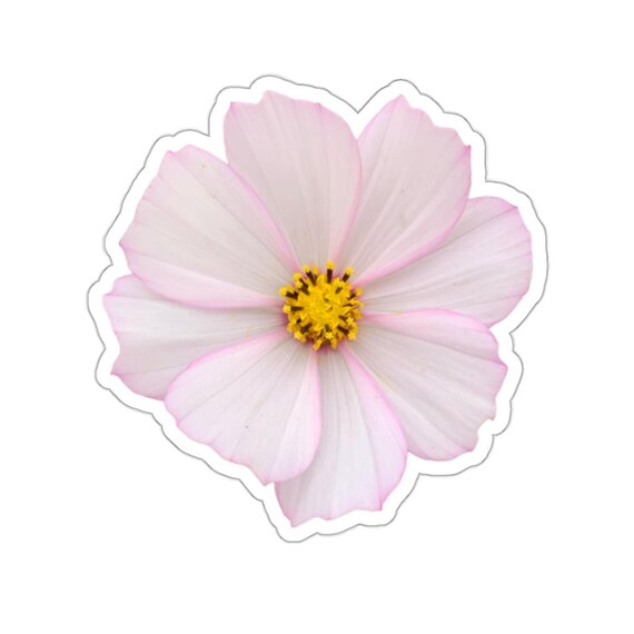 Pale Pink Cosmo Flower Sticker - Floral Kiss-Cut Stickers