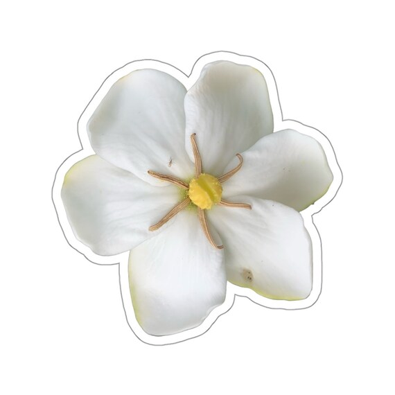 Gardenia Flower Sticker