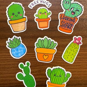 Pegatinas de cactus (no abrazables) - Vinilo holográfico y mate / Divertidas pegatinas de plantas para botellas de agua y portátiles