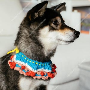 May include: A Shiba Inu dog wearing a colorful, handmade crochet collar. The collar features a blue top layer with yellow accents, a pink middle layer, and a red scalloped bottom edge. The dog has black and gray fur.