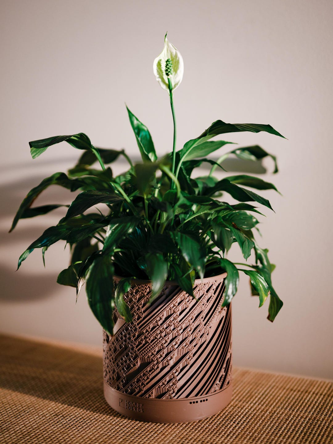 ピース Minimalist Plant Pot With Saucer | FRACTO 3D Printed Planter (4