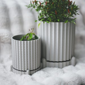 Könnte beinhalten: Zwei hellgraue, gerippte Pflanzgefäße mit Pflanzen, eines groß und eines klein, stehen auf einer flauschigen weißen Oberfläche. Die Pflanzgefäße haben eine zylindrische Form mit vertikalen Rillen und kleinen gepunkteten Details.