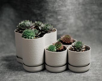 Modular Succulent Planter Set: Modern Minimalist 3D Print