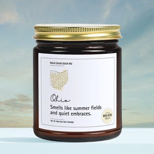Ohio Scented Candle, Ohio Home Decor, Housewarming Gift for Her, Best Birthday Present, Homesick Souvenir, Moving Away, Home State Scents