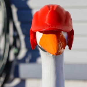 May include: A close-up shot of a goose head wearing a bright red construction hat. The goose has a white neck and an orange beak. The background is a blurred view of a white wall and a dark object.