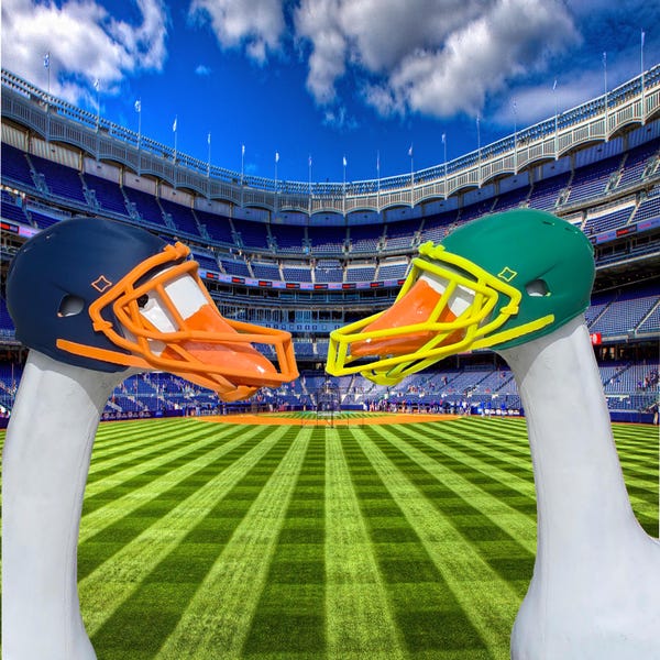 3D Printed Goose Football Helmet,  Desk & Porch Decor, Eco-Friendly