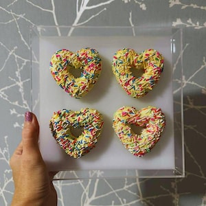 STANDALONE Acrylic Framed Faux Donuts | Sprinkles | Candy Art |Faux Food Art | Pop Art Decor