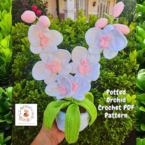 Orchid Crochet Pattern, Flower Crochet Patterns, Crochet Home Decor, Flower Basket Crochet Pattern, Potted Orchid Crochet, Flower crochet