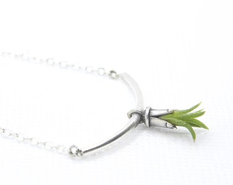 Tiny Living Air Plant Necklace Sterling Silver 18"
