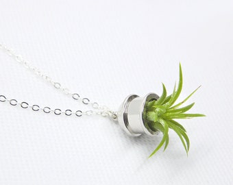 Living Air Plant Necklace Sterling Silver 30" Long Chain