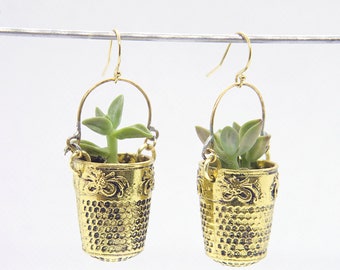 Living Succulent Plant Earrings Alive Upcycled Thimbles and Gold Earwire FREE SHIPPING