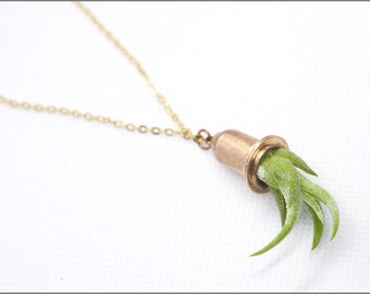 Living Air Plant Necklace Rose Gold and Copper 30" chain