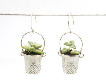 Living Succulent Plant Earrings Alive Upcycled Thimbles and Sterling Silver Earwire FREE SHIP