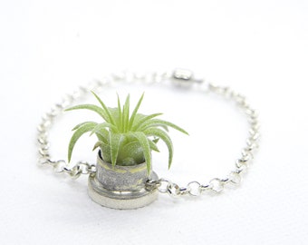 Living Air Plant Bracelet Upcycled Electrical Salvage Parts and Sterling Chain